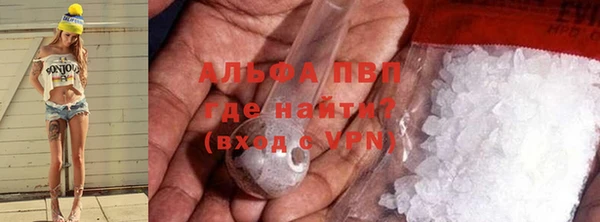 дмт Новокубанск