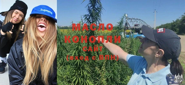 дмт Новозыбков