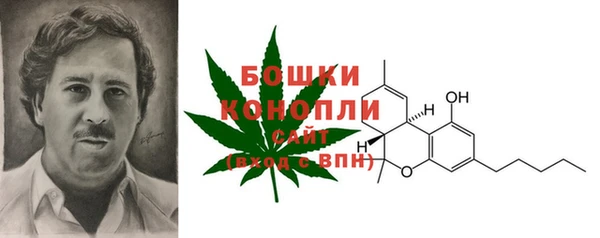 mdpv Новодвинск