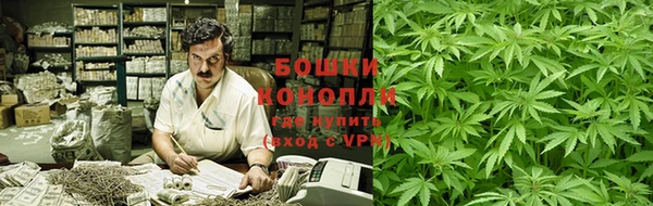 дмт Новозыбков