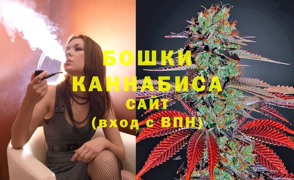 дмт Новокубанск