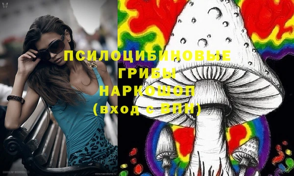 дмт Новозыбков