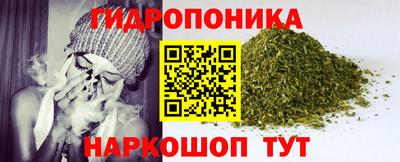 дживик Кунгур