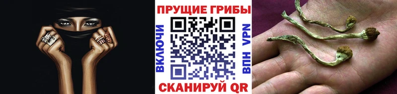 Псилоцибиновые грибы Magic Shrooms кракен как зайти Новокузнецк