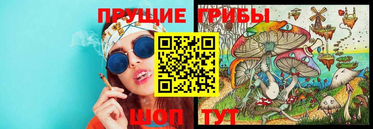 Псилоцибиновые грибы Psilocybine cubensis Новокузнецк