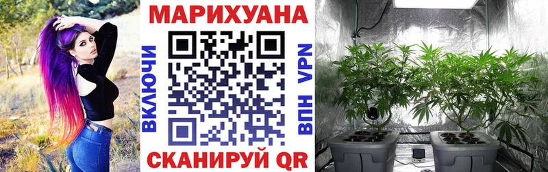наркотики  Новокузнецк  блэк спрут зеркало  Шишки марихуана планчик 